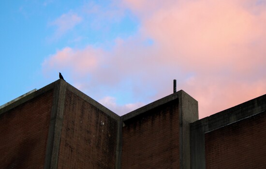 Temporary Accommodation Action Group (TAAG) Survey Findings