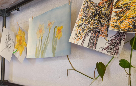 The Social Connection Project - not ‘just’ a walk in the park