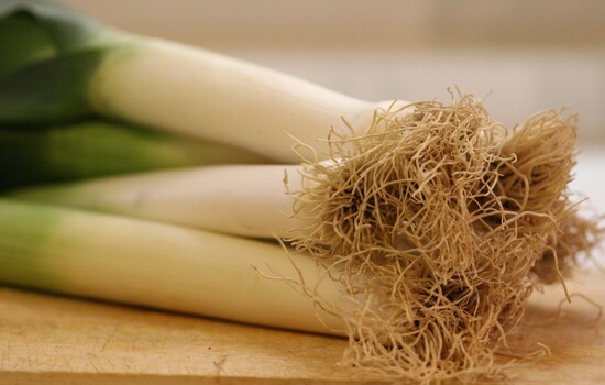 Leek and Potato Soup and the Compass Centre