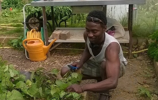 Gardening & Grub Goes to Market