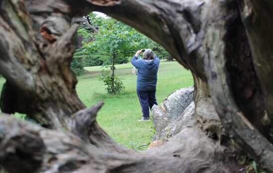 Behind the lens at Stanmer Park