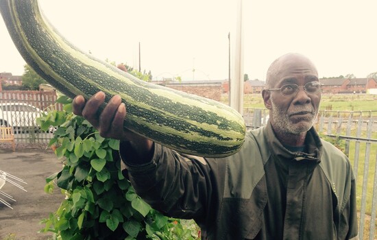 The giant marrow
